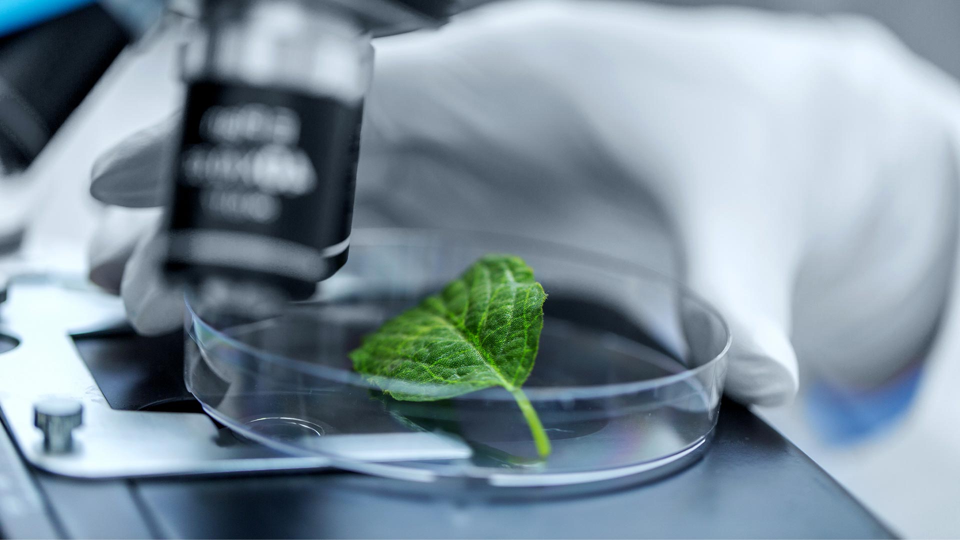 믿을 수 있는 안전한 품질의 원료